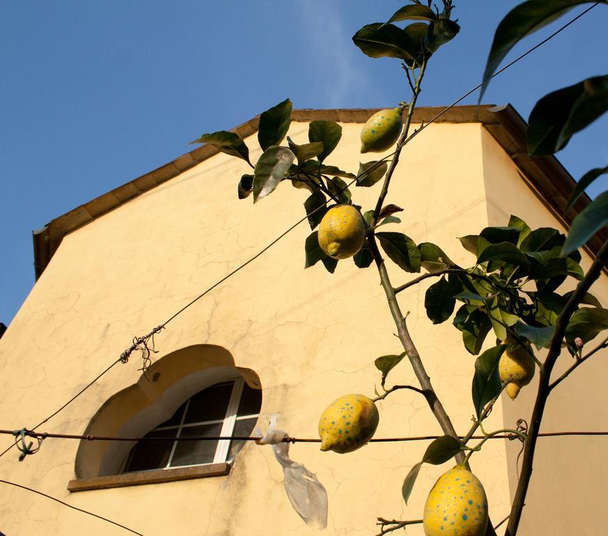 Family House Apartment Levanto Cameră foto
